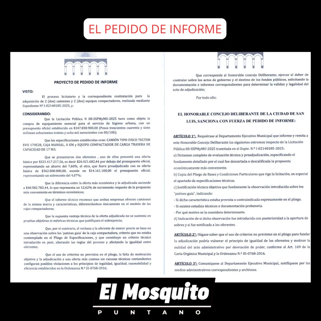 EL PEDIDO DE INFORME