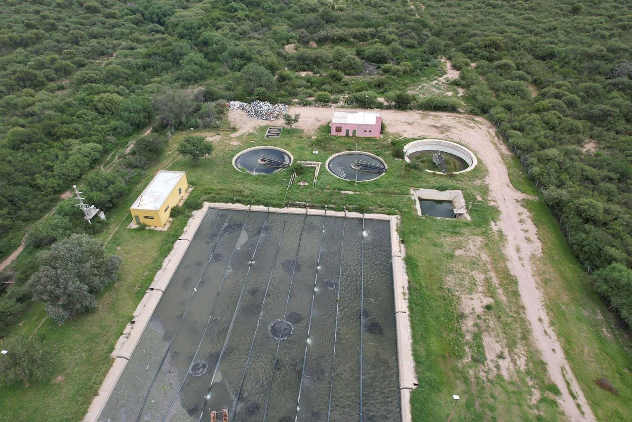 WhatsApp Image 2026-03-12 at 12.54.43