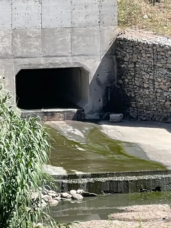 WhatsApp Image 2025-12-16 at 10.08.47