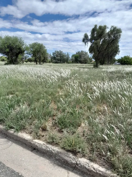 612888917_4294654454185948_6436376058981551204_n