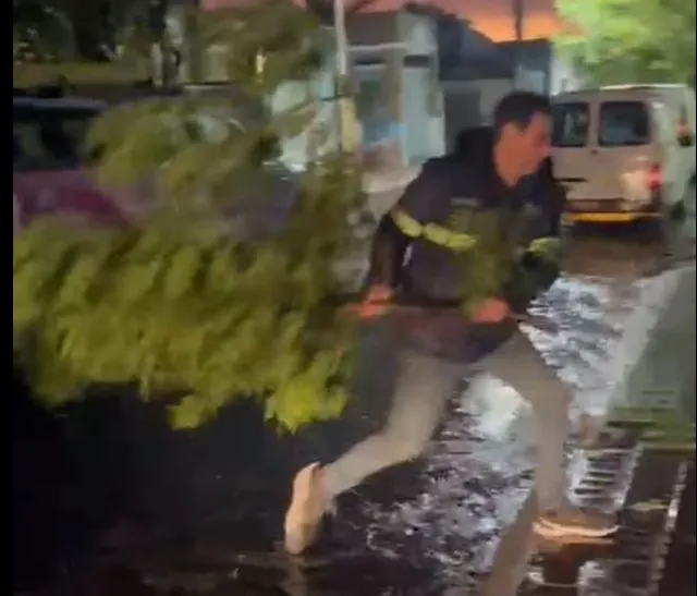 Captura de pantalla 2025-01-06 220229