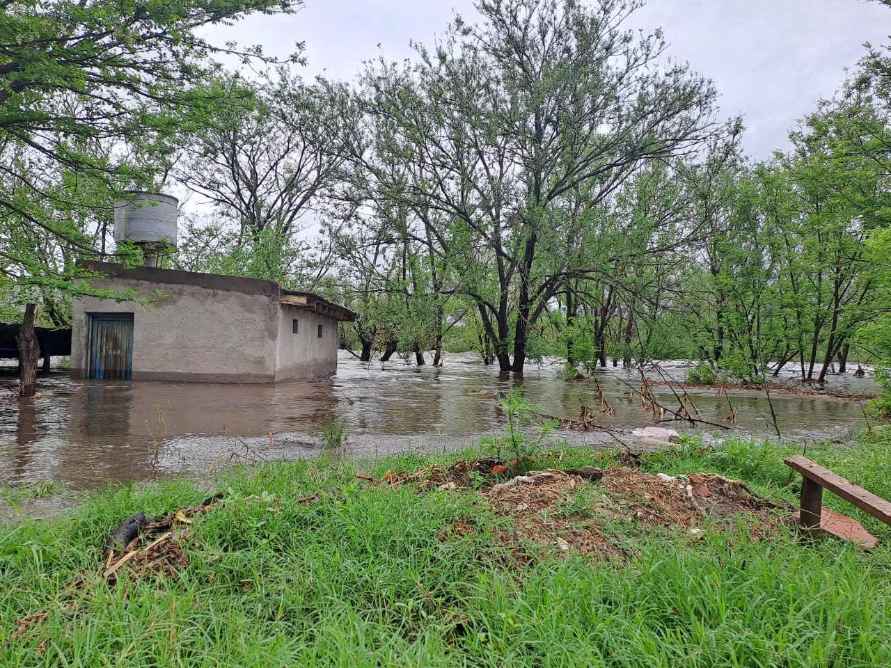 WhatsApp-Image-2024-02-12-at-1.59.28-PM