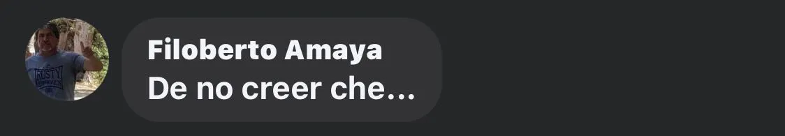 WhatsApp Image 2024-11-12 at 17.55.28