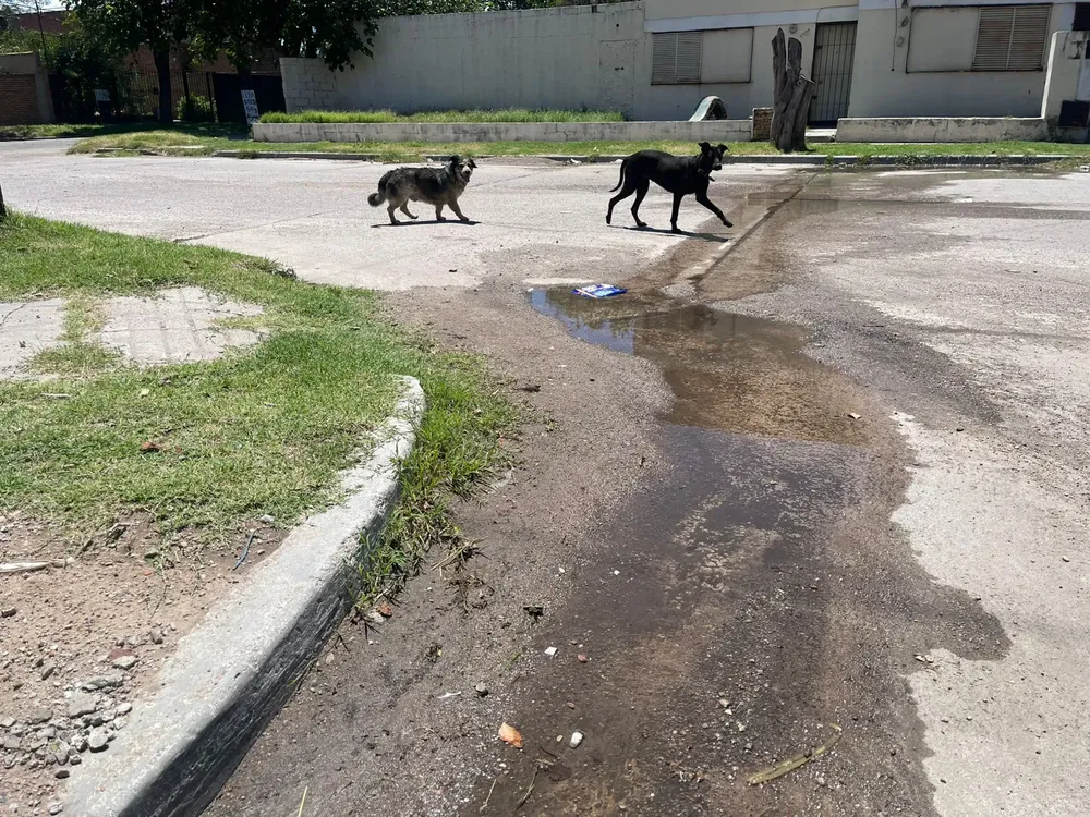 WhatsApp Image 2026-01-19 at 09.47.28