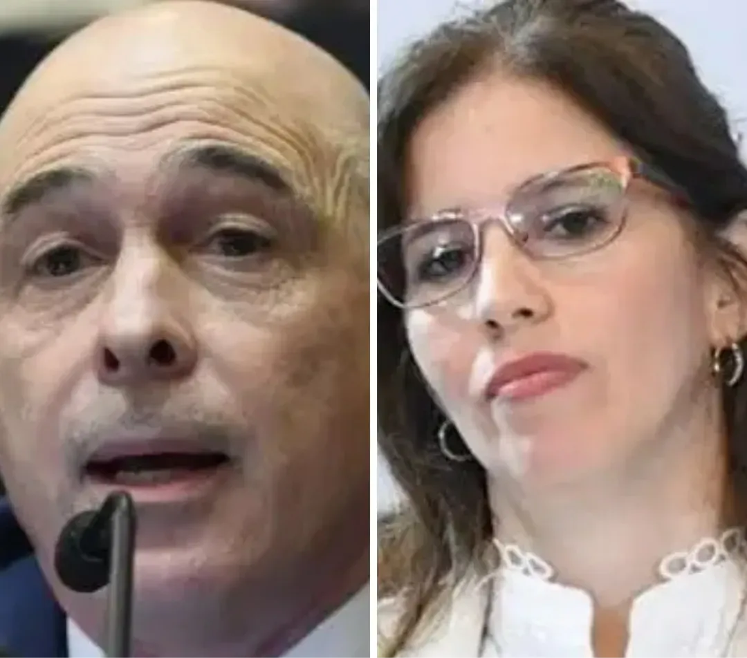 PLACAS MOSQUITAS (39)