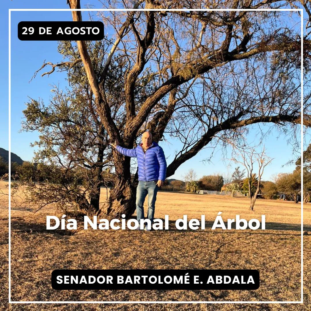 540930516_1321703569511967_5645802324019906057_n