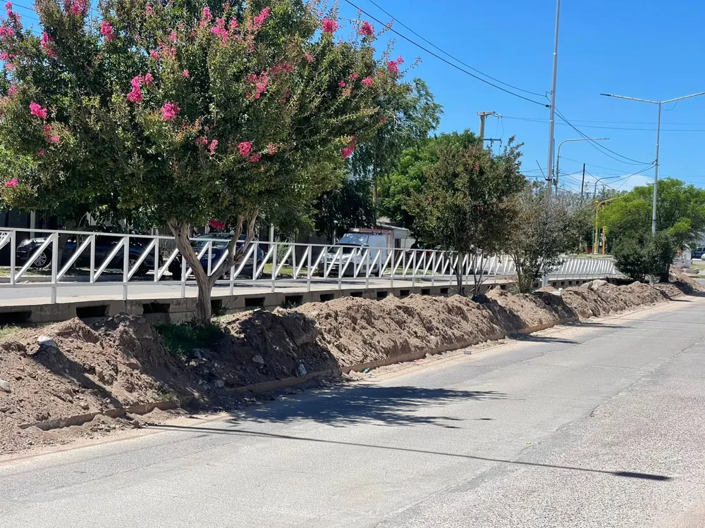 WhatsApp Image 2025-12-23 at 11.23.52