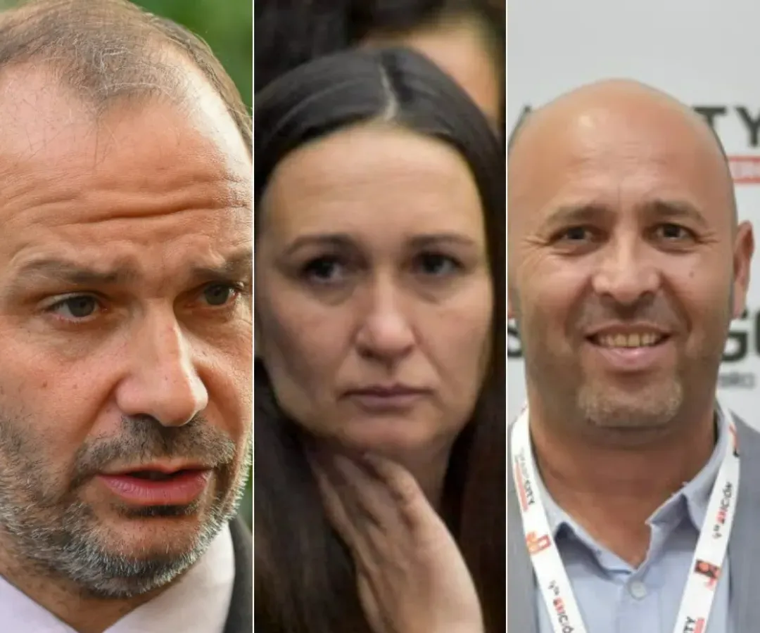 PLACAS MOSQUITAS (65)