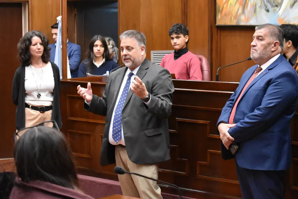 Endeiza.-Senado.-Explicando