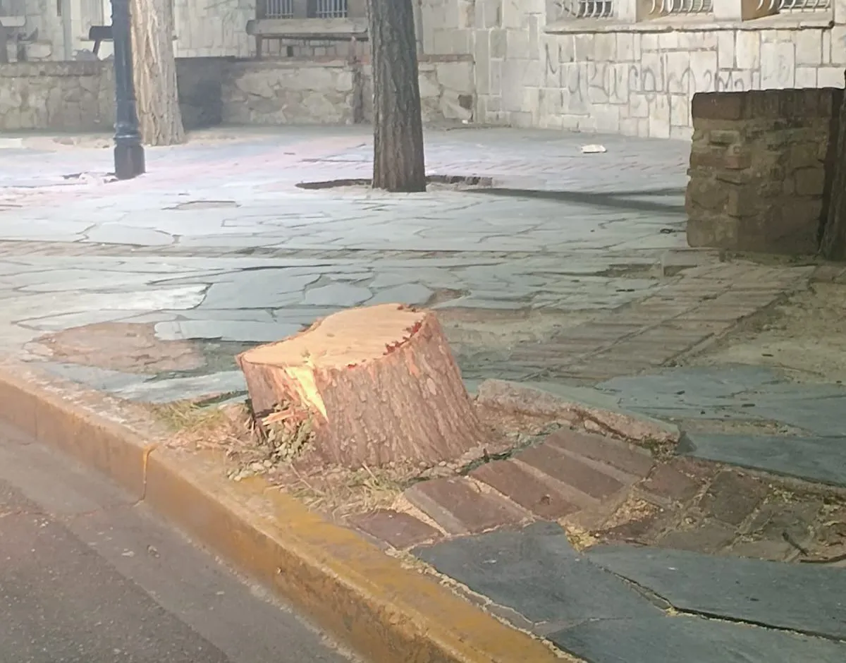 WhatsApp Image 2024-07-11 at 10.16.41 (1)