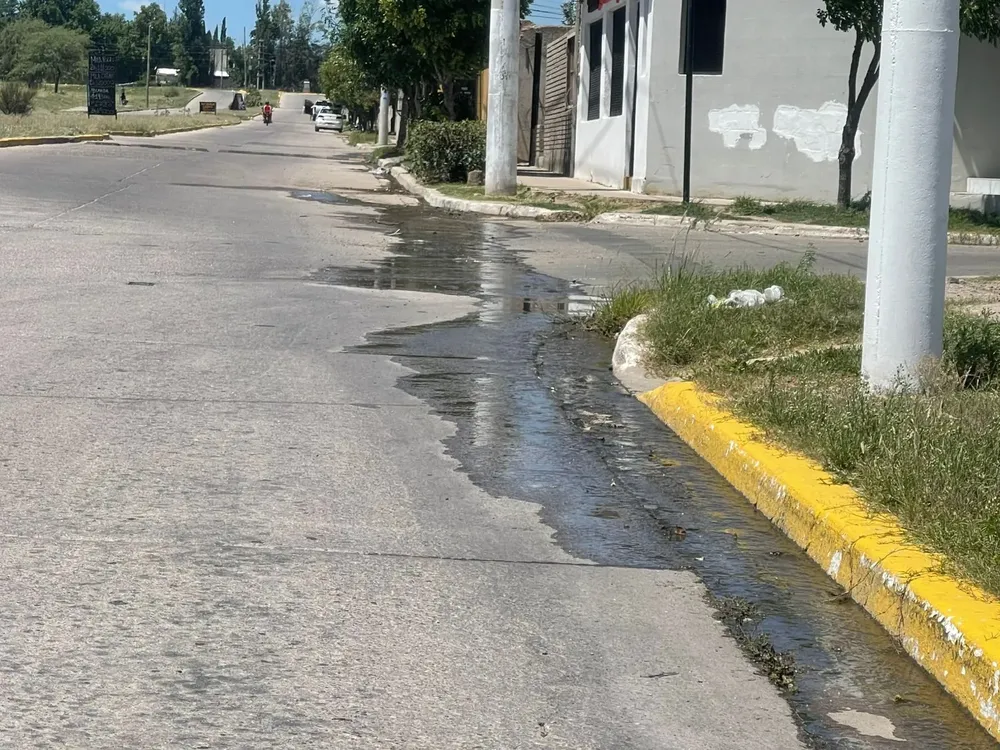 WhatsApp Image 2026-01-21 at 19.33.17