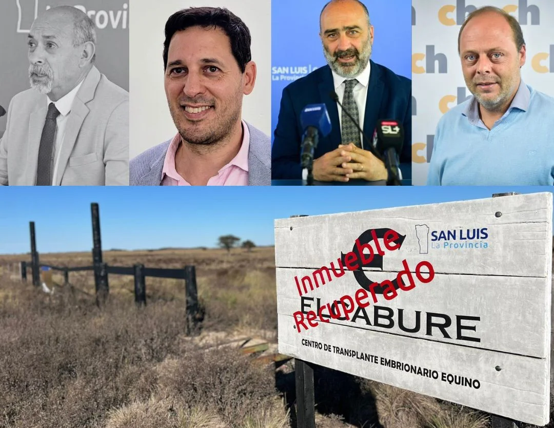 PLACAS EL MOSQUITO - 2026-03-24T213143.954