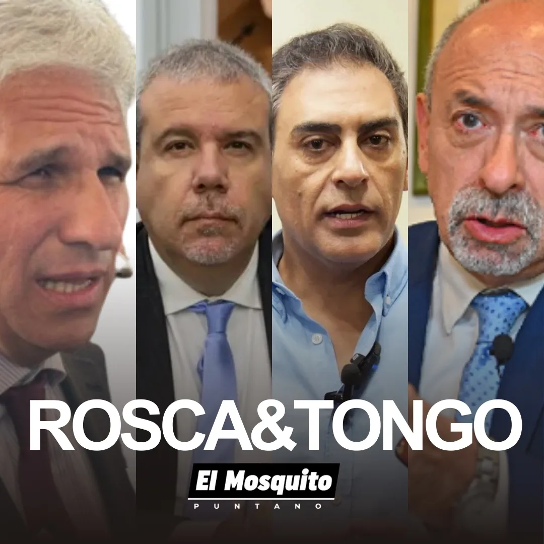 Colorful Modern Meet The Team Instagram Post