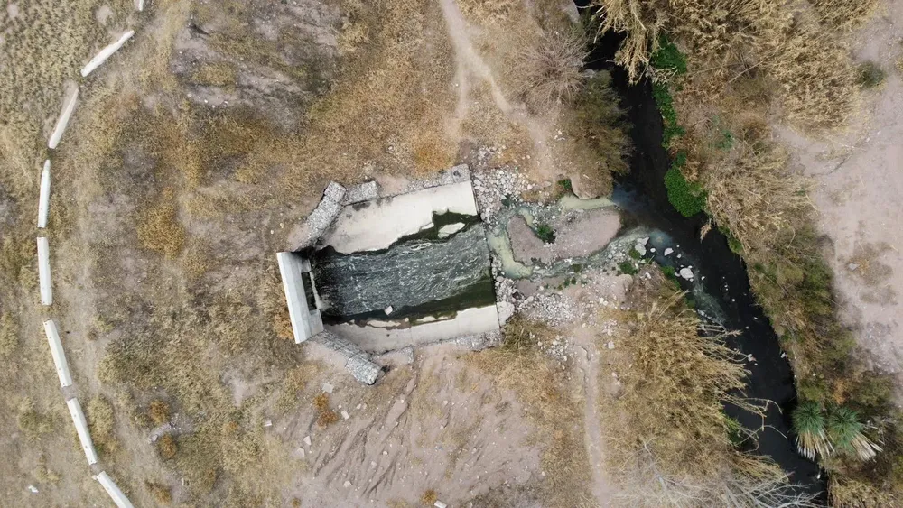 WhatsApp Image 2024-08-05 at 17.12.16