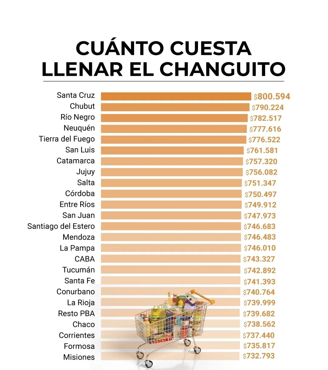 WhatsApp Image 2025-10-09 at 23.06.13