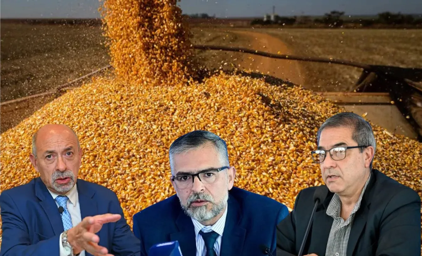 Diseño sin título (15)