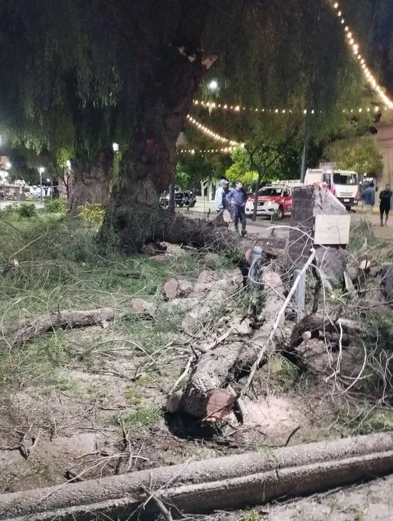 WhatsApp Image 2025-12-01 at 10.57.34