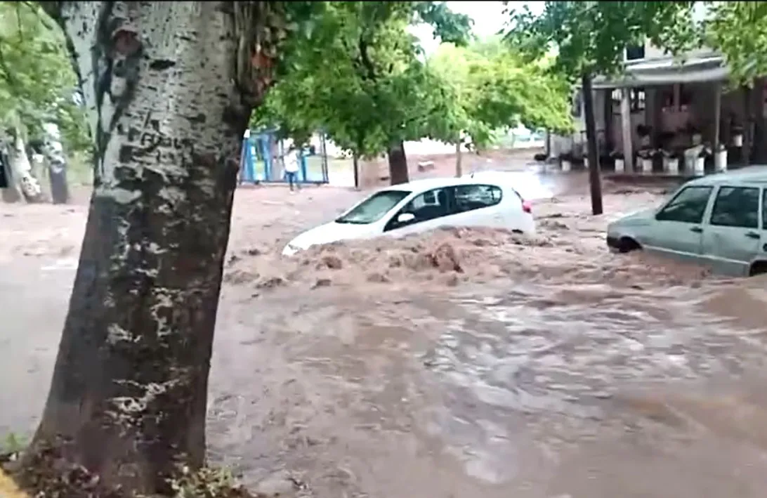 Las lluvias generaron inundaciones en diversas zonas de Mendoza
