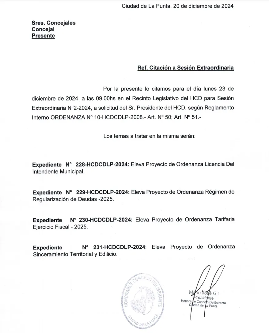 Captura de pantalla 2024-12-22 111923