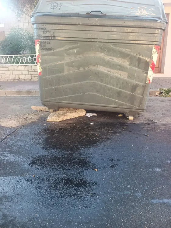 WhatsApp Image 2026-01-19 at 19.08.59 (1)