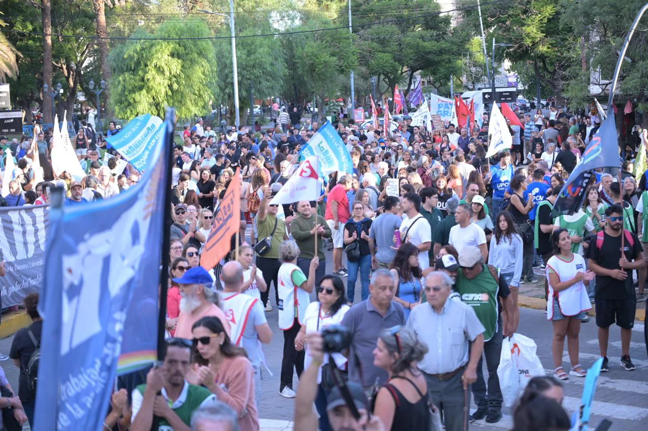 WhatsApp Image 2026-02-11 at 19.48.38