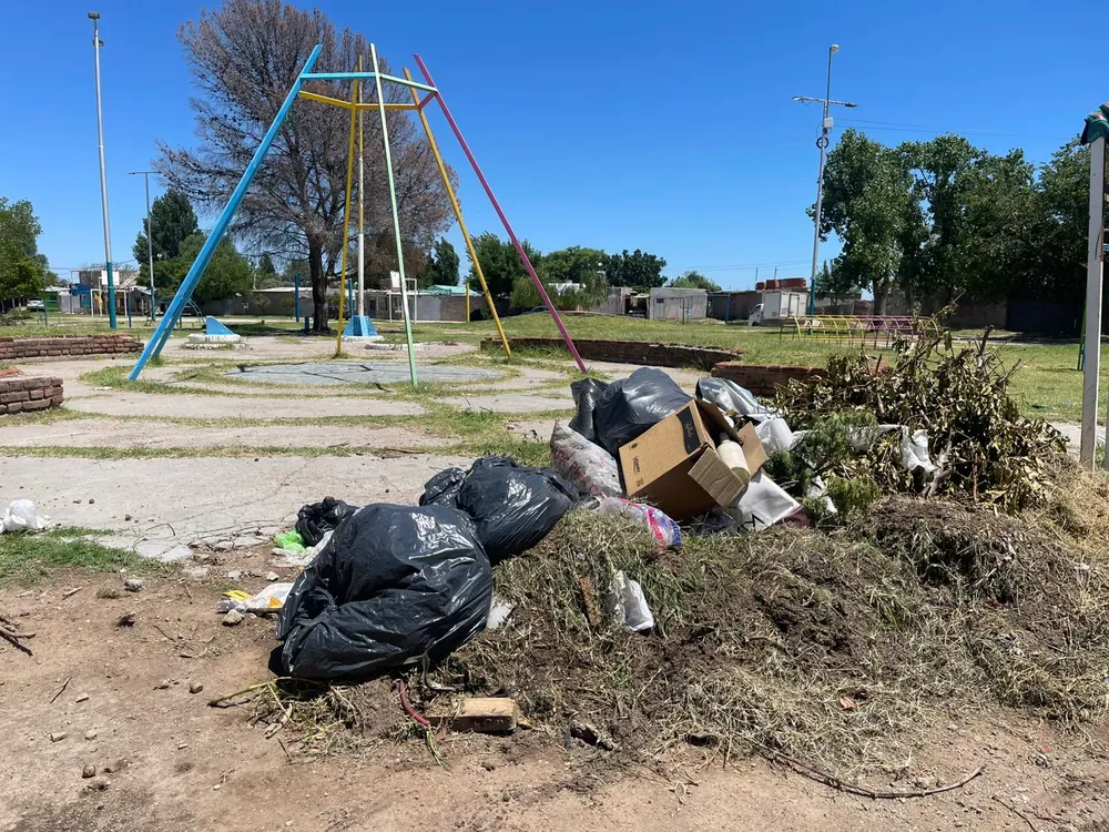 WhatsApp Image 2026-01-19 at 09.47.28 (1)