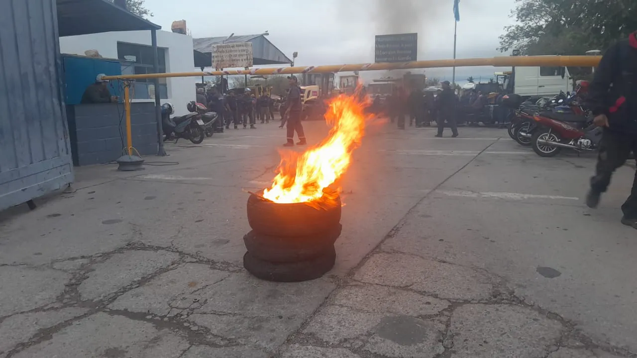 WhatsApp Image 2024-04-03 at 12.19.51