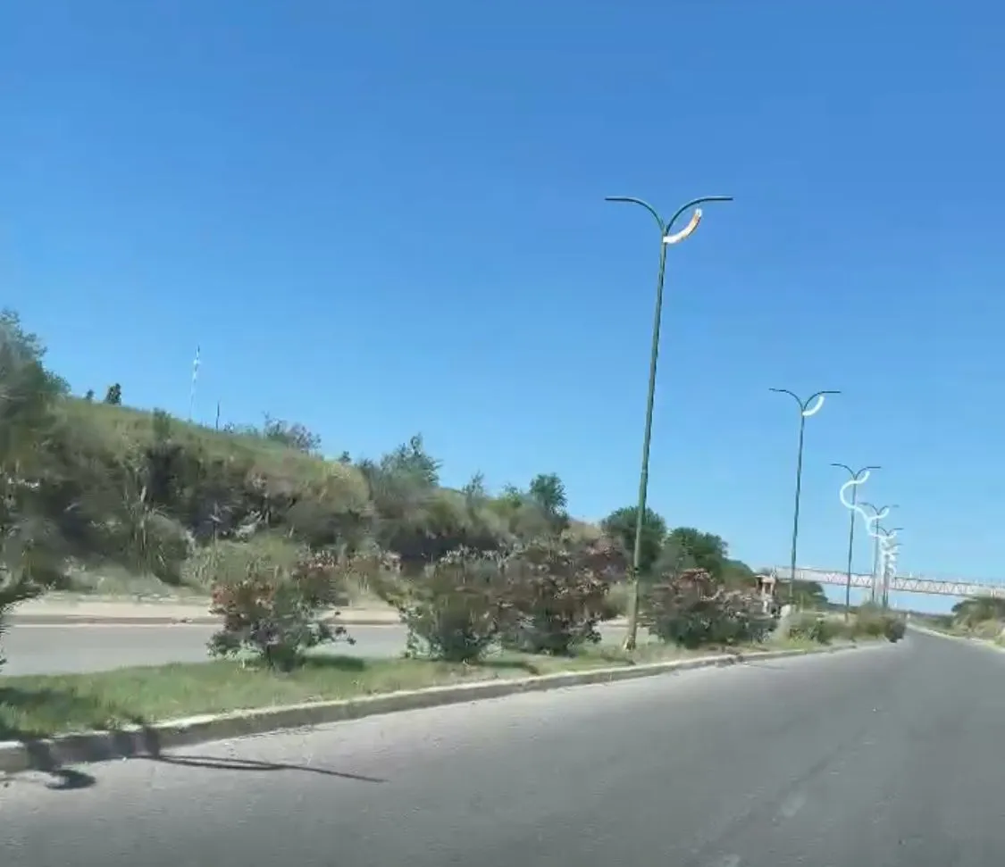 WhatsApp Image 2024-11-11 at 11.48.43