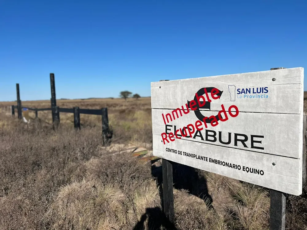 WhatsApp-Image-2024-05-14-at-14.53.22 (1)