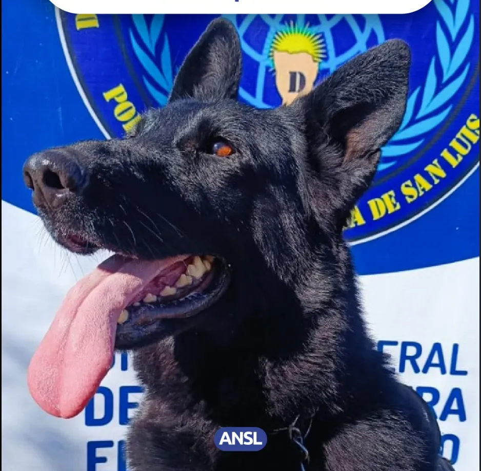 Captura de pantalla 2025-06-14 125619