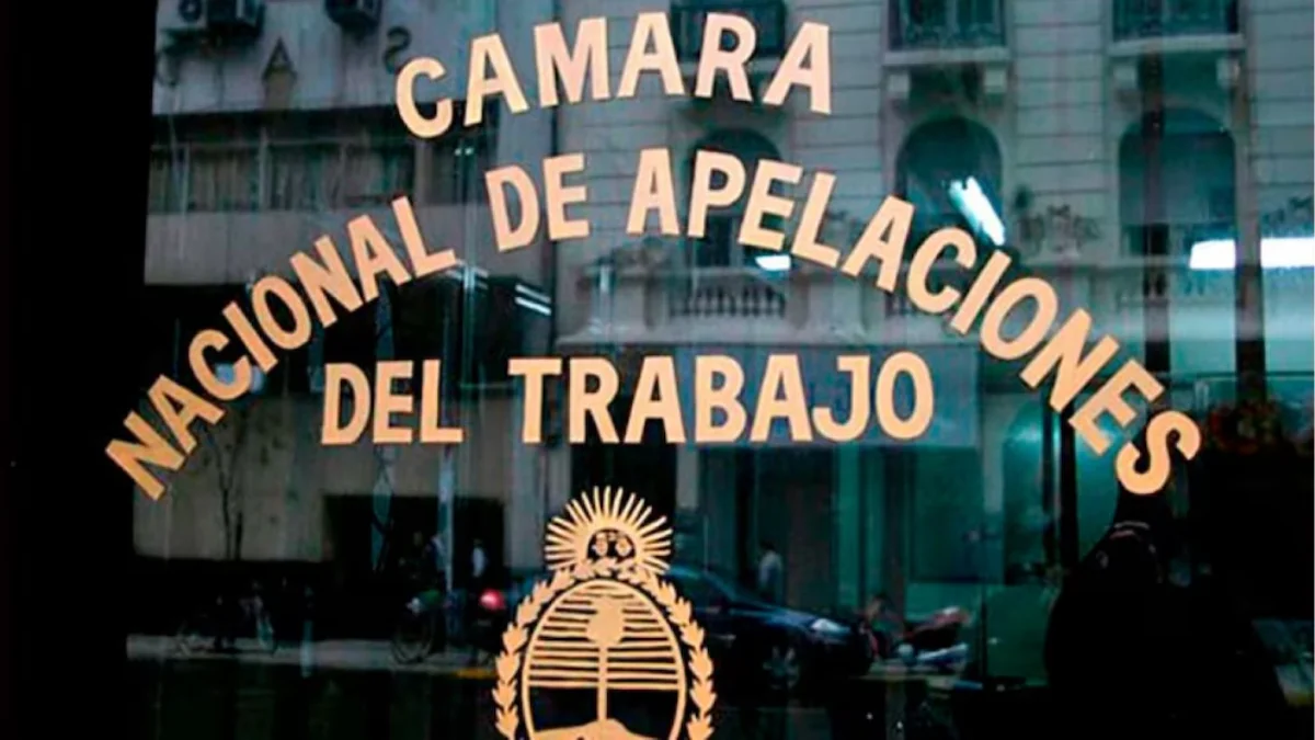 Puccineri advierte sobre conflictos por la transferencia de la justicia laboral