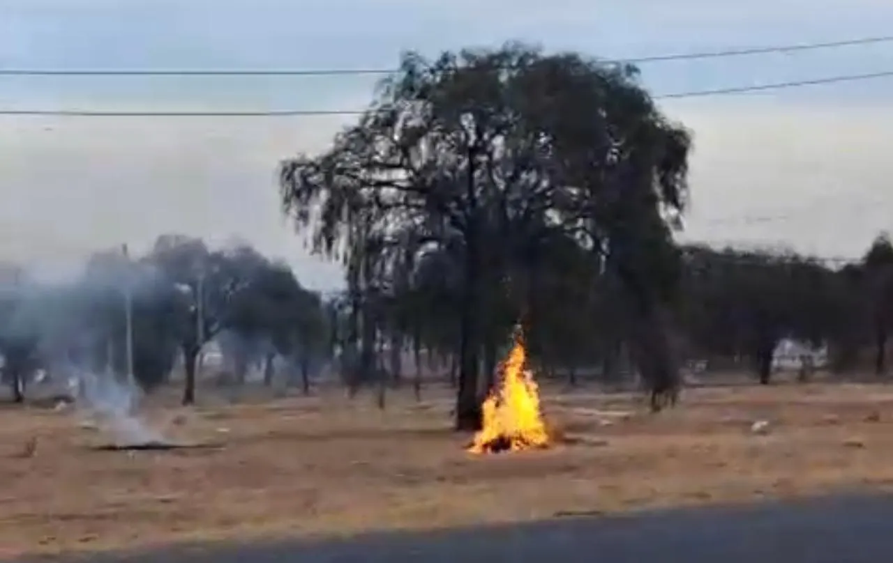 WhatsApp Image 2024-07-31 at 13.06.52