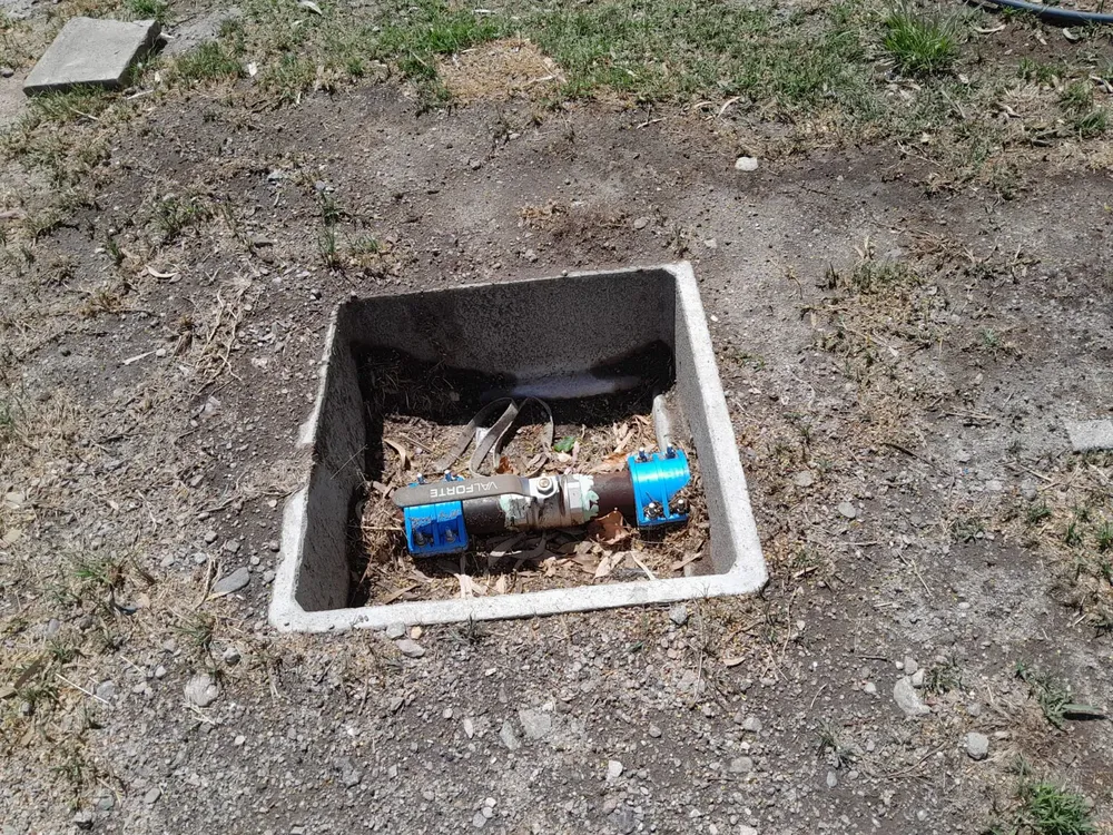 WhatsApp Image 2024-12-17 at 14.06.44